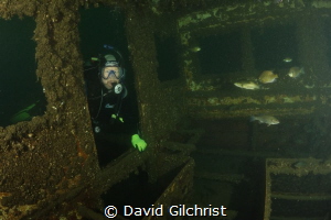 Diver enters the sunken remains of a tour boat in the Wel... by David Gilchrist 